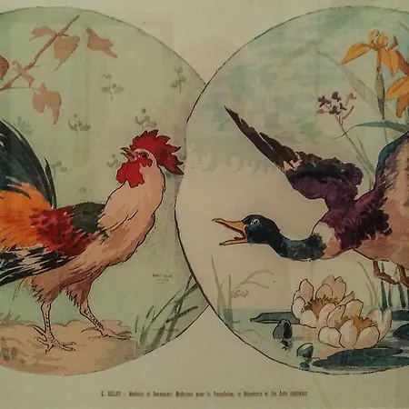 Gertie * Bardolino